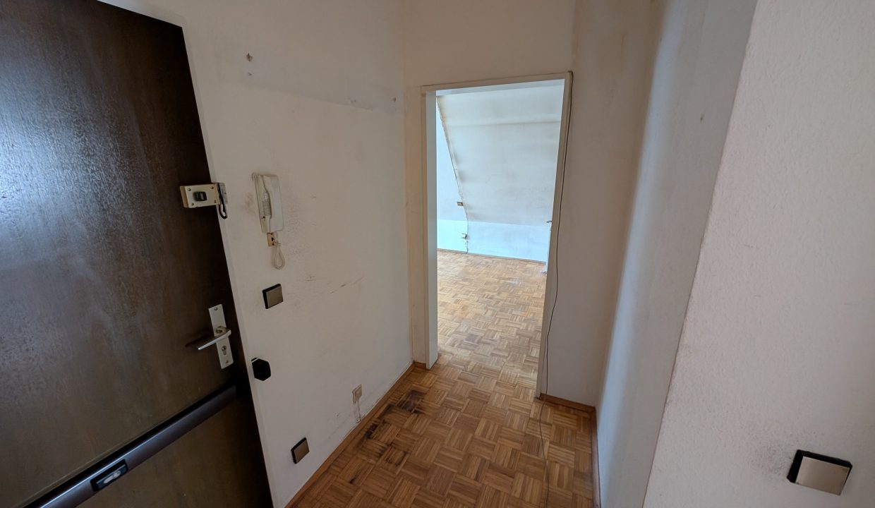 PXL_20250327_162419039