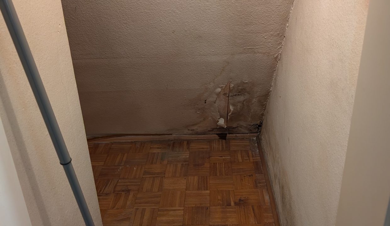 PXL_20250327_163936473